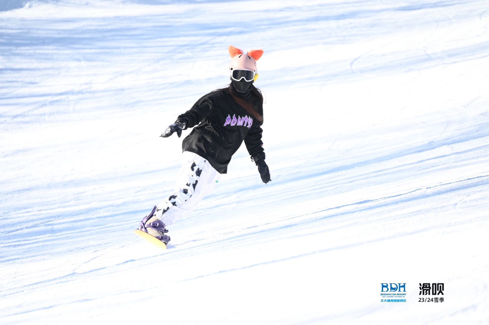 在世界里找自由