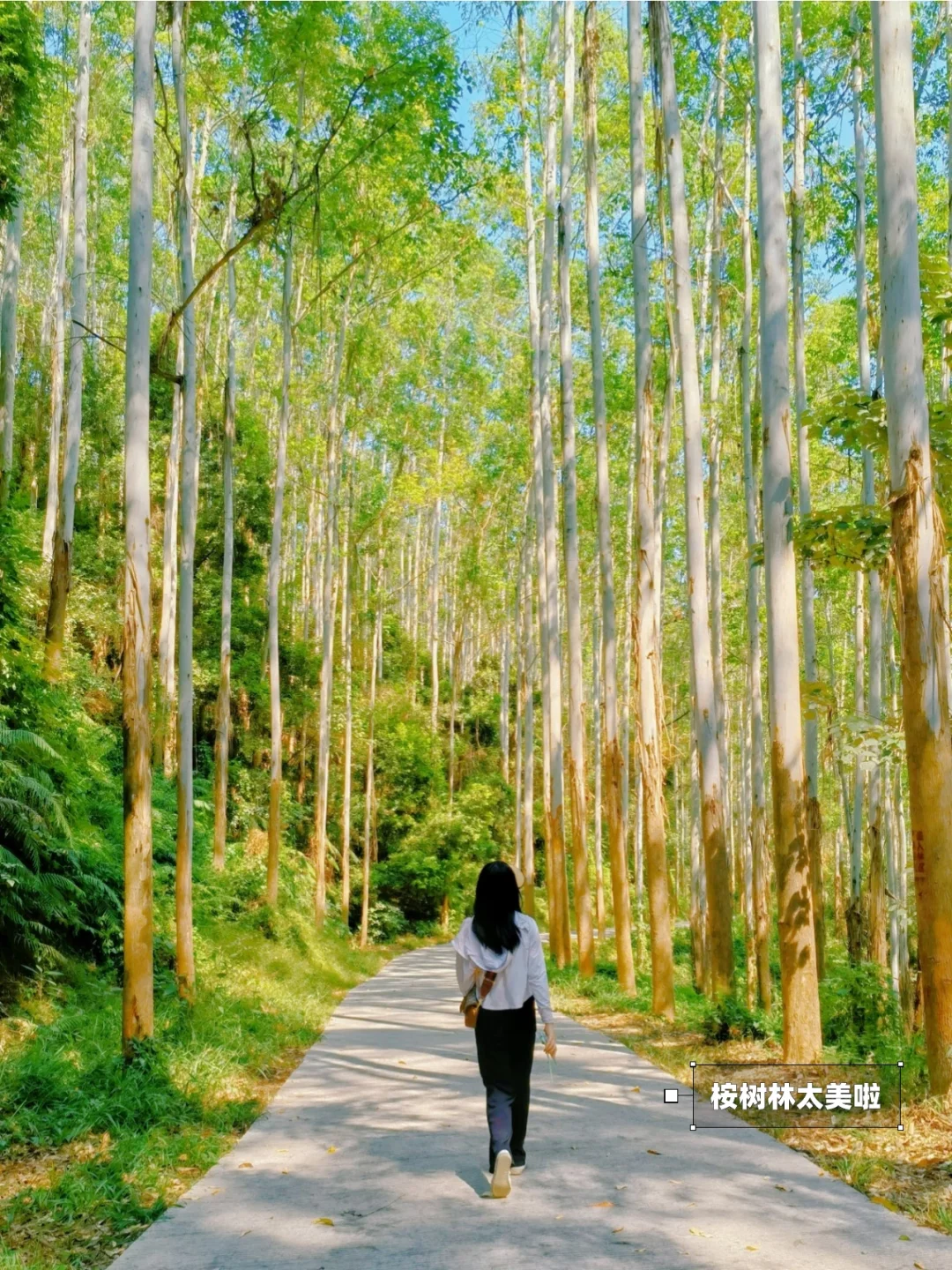 逃离城市去徒步|一不小心走进上帝的调色盘