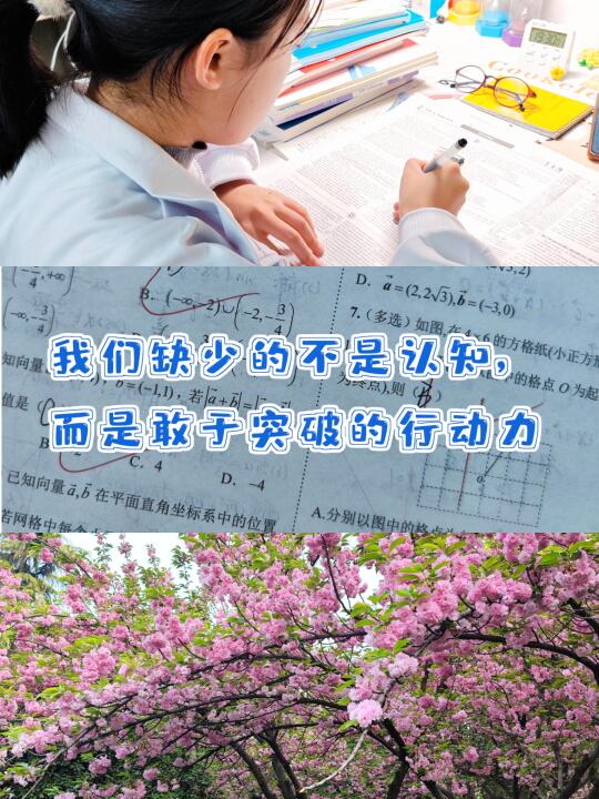 我们缺少的不是认知，而是敢于突破的行动力