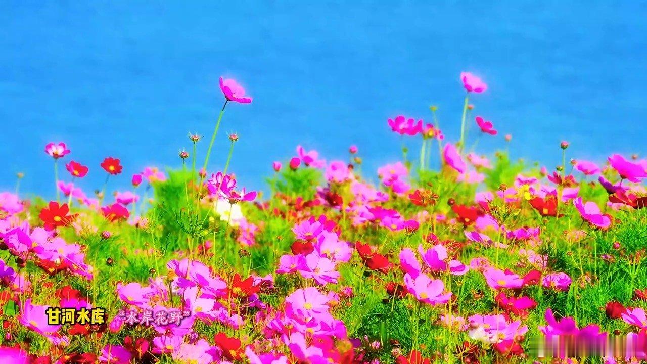 盛夏昭通20度的浪漫邀约 属于这个盛夏的浪漫，真的是在云南的昭通，非常凉爽的舒适
