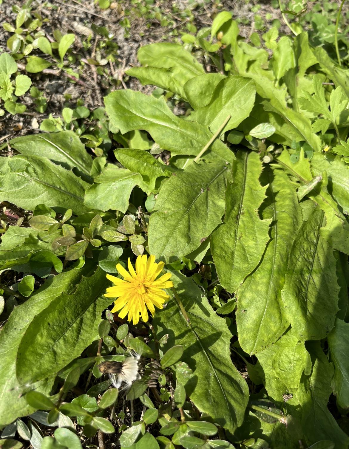 都给我看笑了！真是嘴巴两张皮，横竖都是理，为了不给女儿财产，正反都是有理！

家