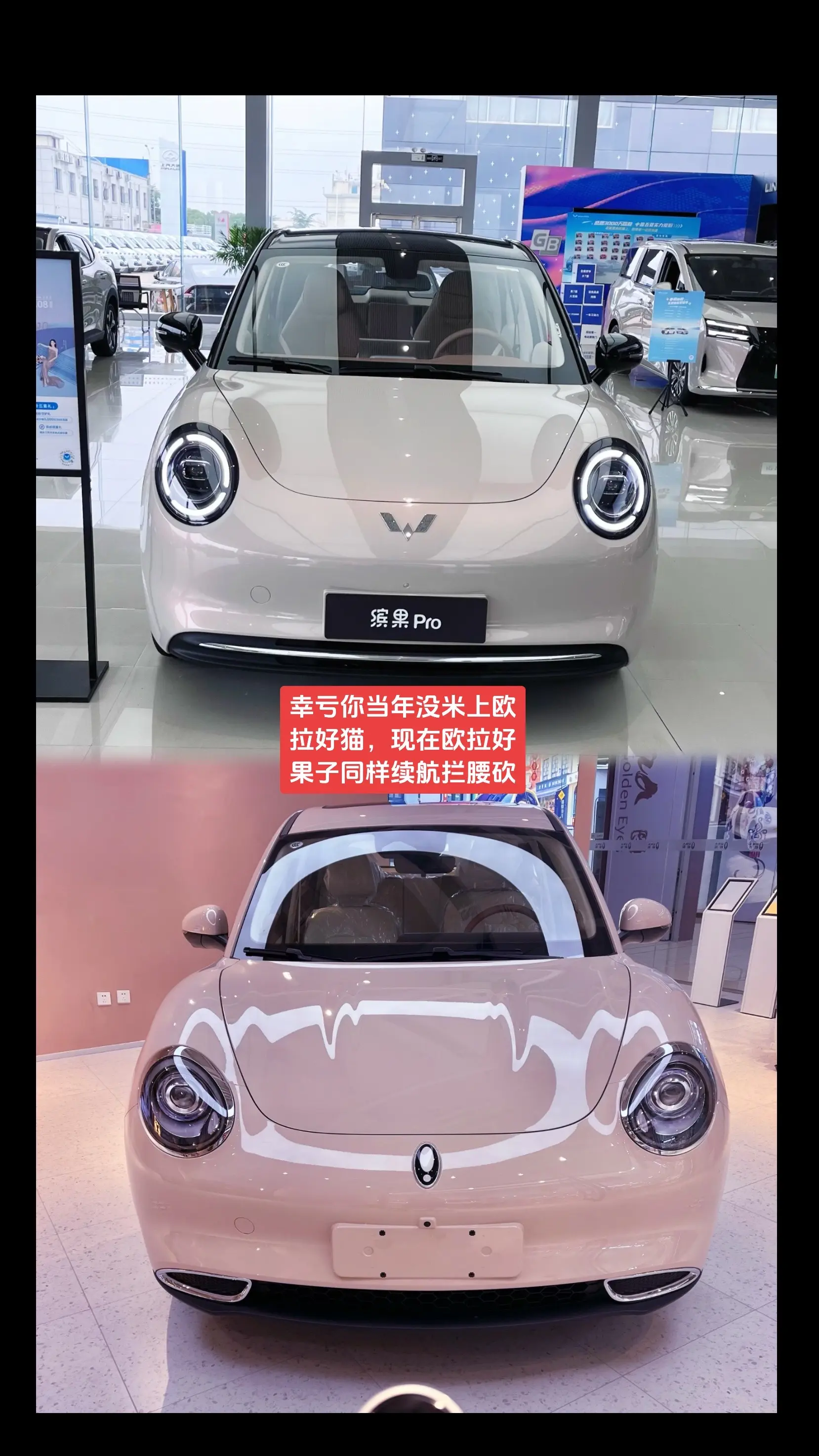 不知道是欧拉出了🛤️，还是缤果劈了腿。