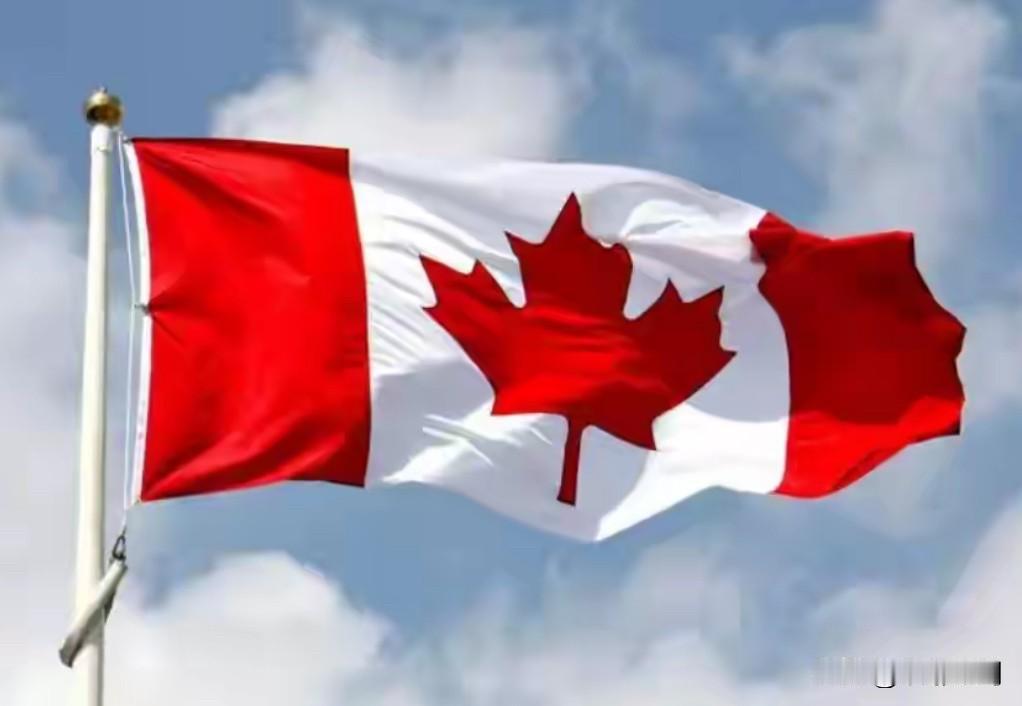 加拿大法院推翻TikTok禁令！卡尼刚访华就松绑，释放3个关键信号

当地时间2