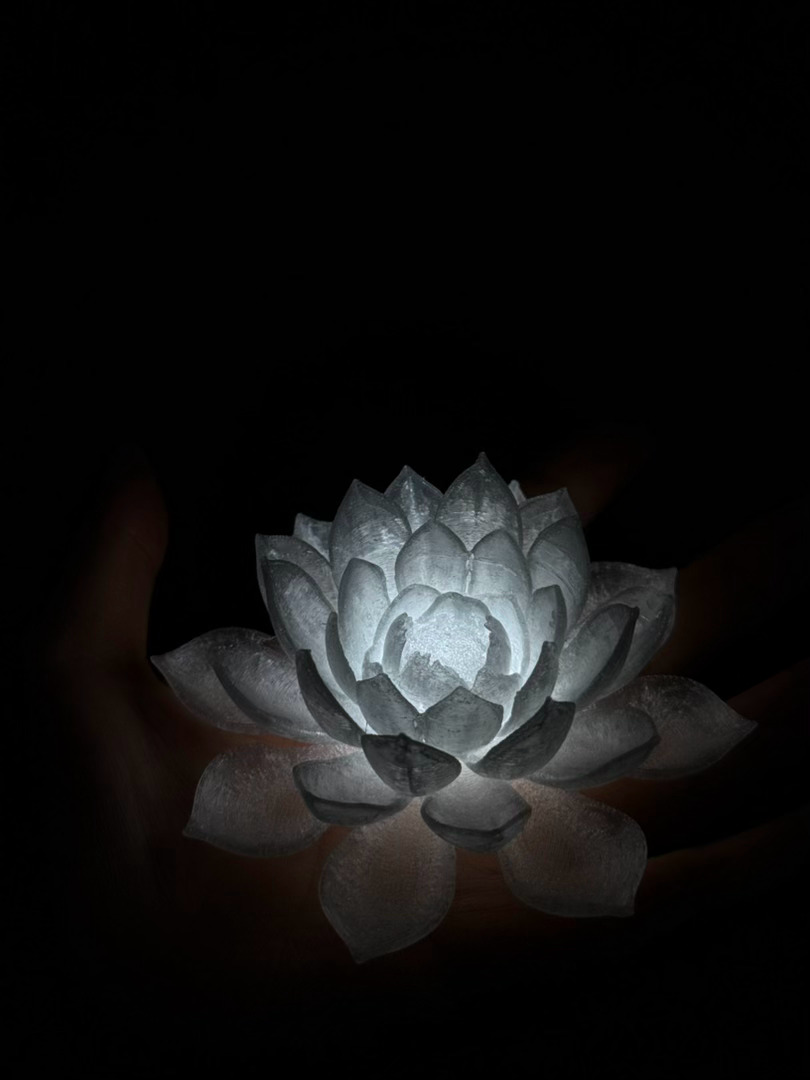 6块钱的小玩意儿挺好看的 ​​​