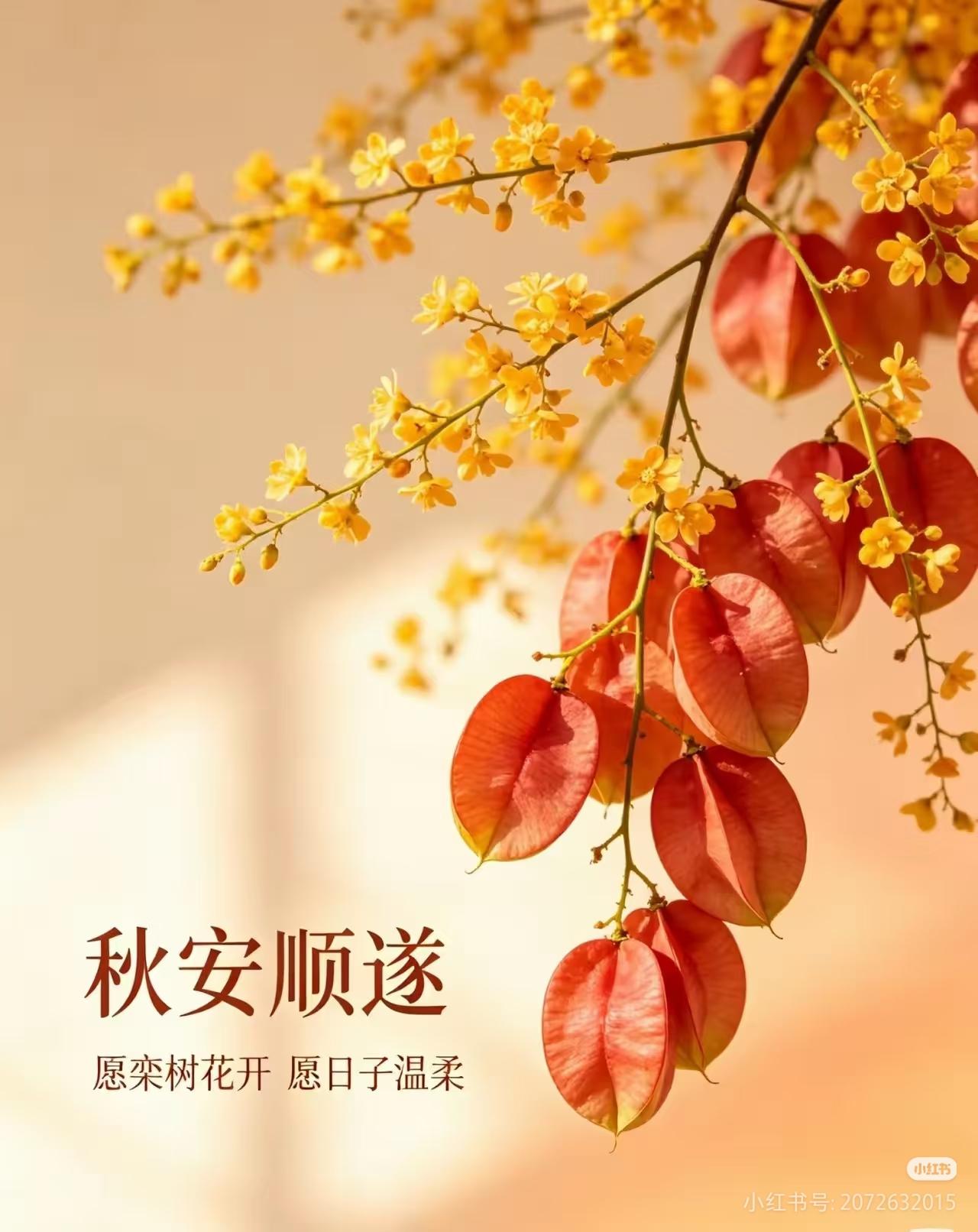早上好，今天是9月24日星期四。
在昨晚进行的女排全锦赛小组赛最后一场比赛中，天