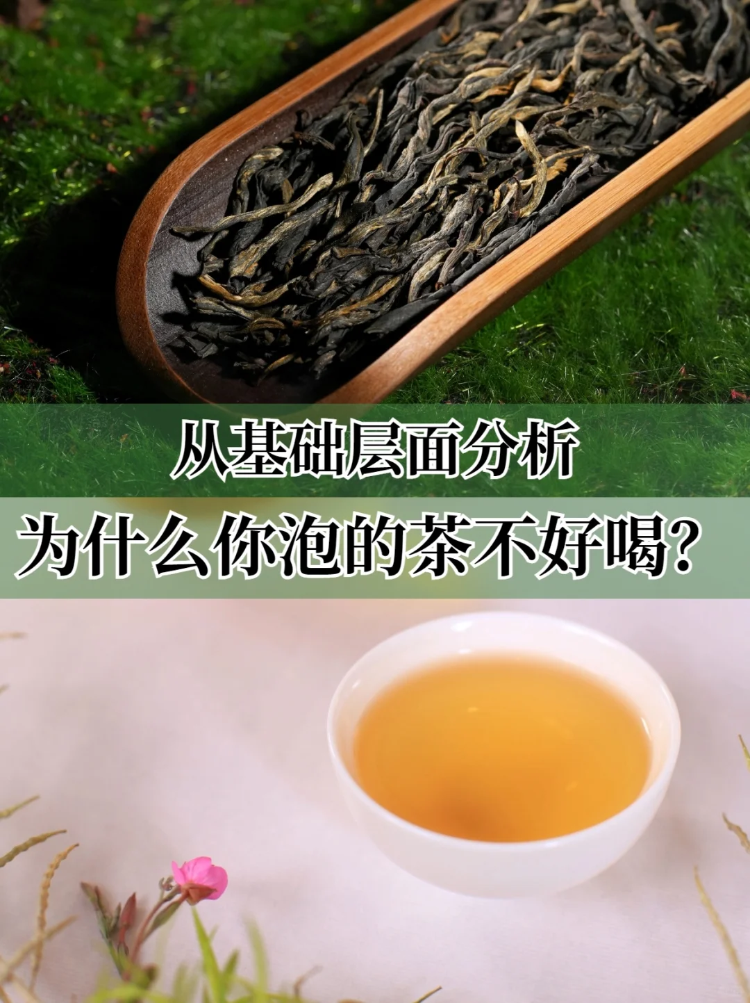 你泡的茶不好喝，可能是这几个方面没把握好