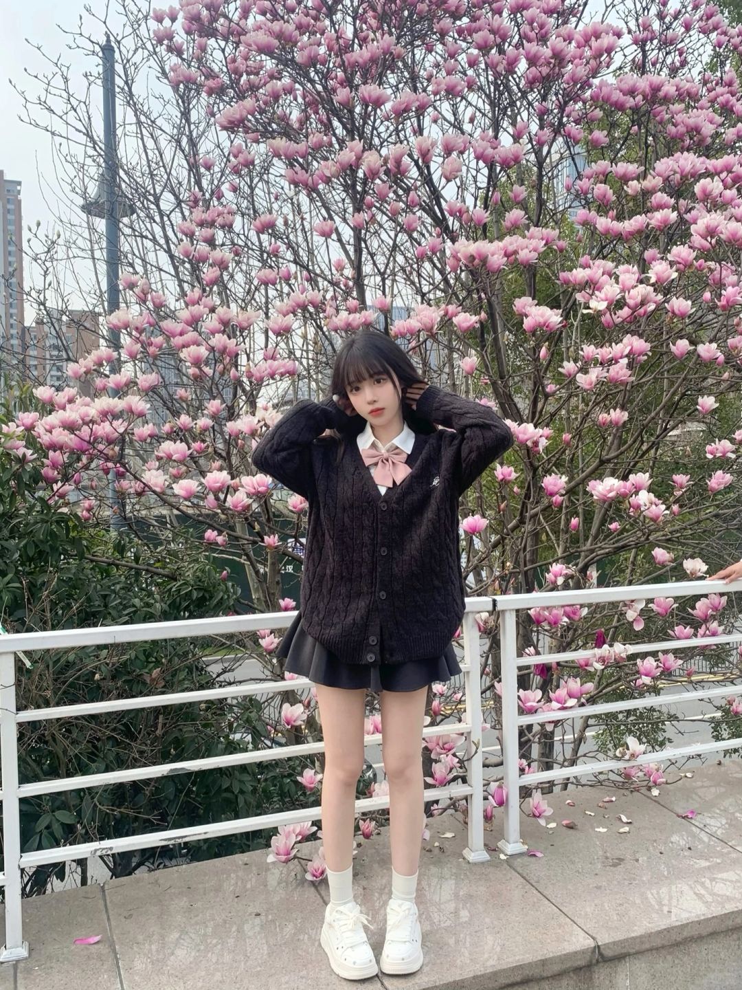 玉兰花也好好拍！