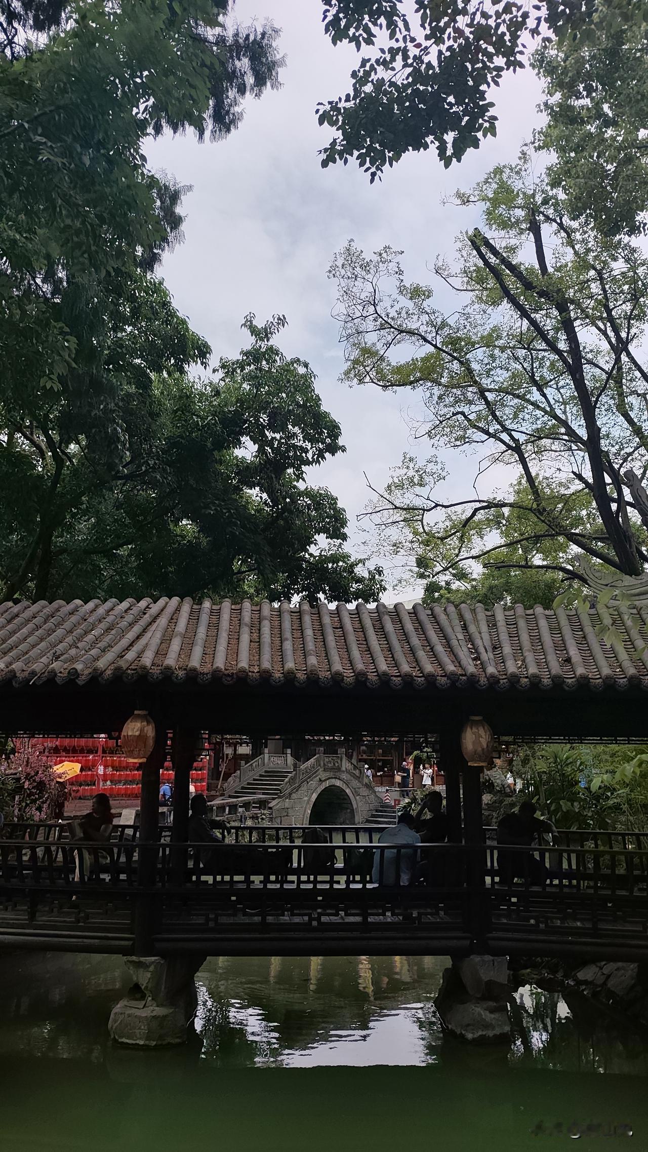 分享树的美景