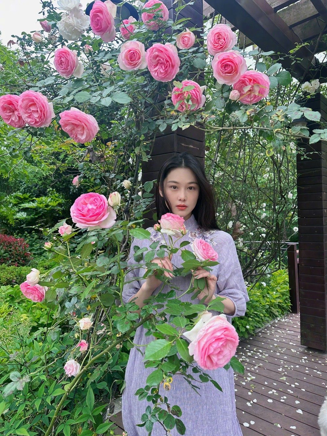 张馨予 价值观是个好东西   |  张馨予为何捷发声 说得真好，谁规定女明星一定