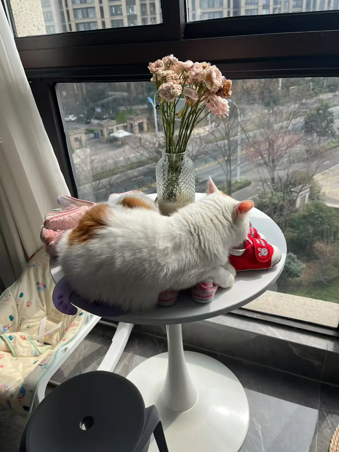 平等的爱闻每一双鞋子