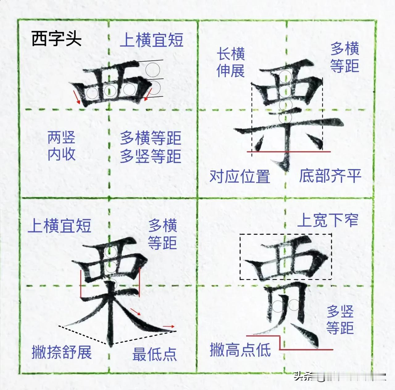 硬笔楷书偏旁部首字卡12【西字头】，收藏起来

西字头注意事项⚠️： 
1.第一