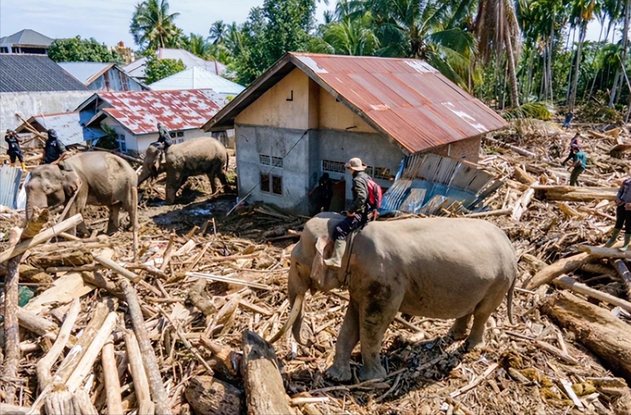 印度尼西亚苏门答腊岛可遭了大罪，连续好几周的暴雨引发了严重洪灾，北苏门答腊省、西