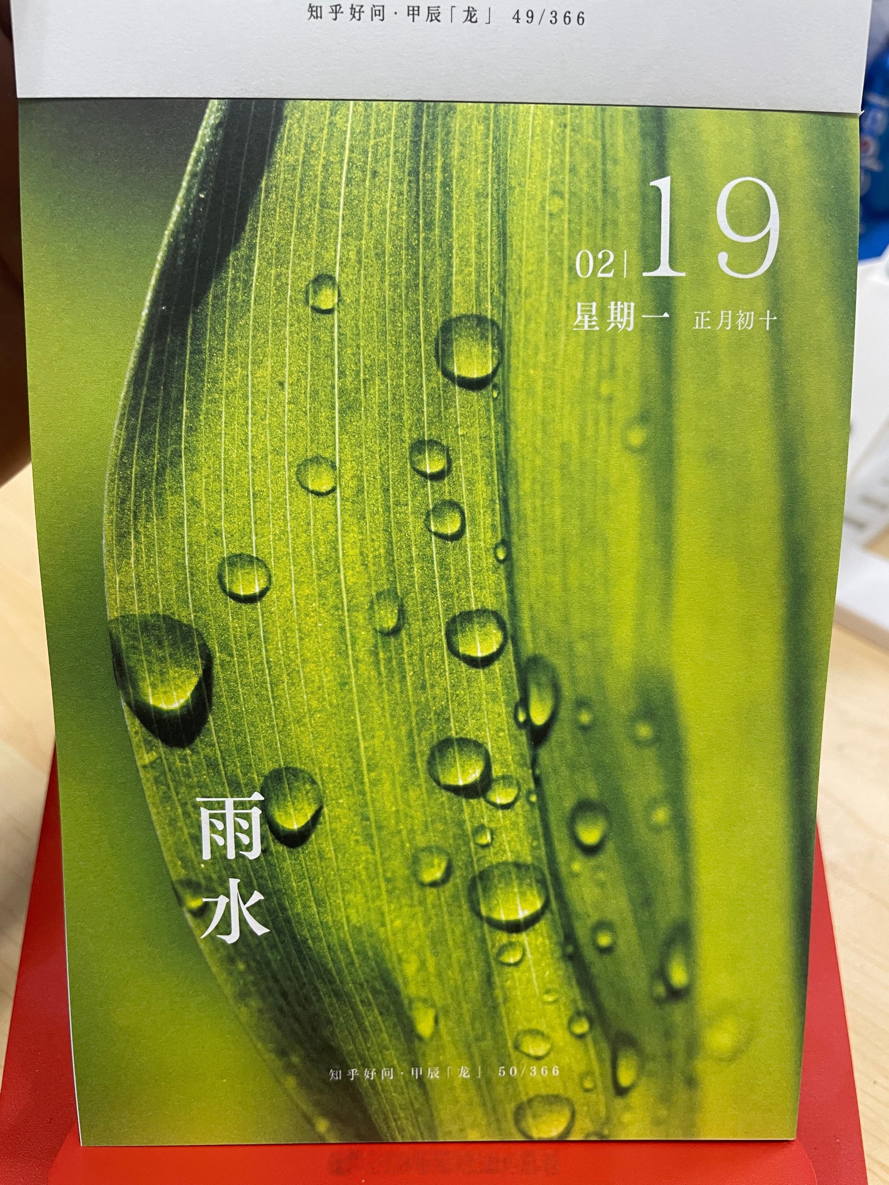 朋友们早～今日雨水～你那里下雨了吗 ​​​