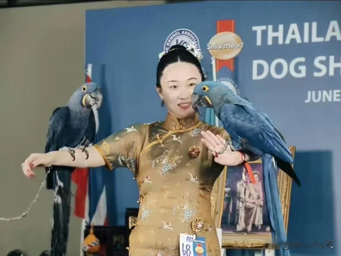 霍思燕
不是不爱杜江了
也不是不爱孩子了
而是她现在财务自由，孩子老公都不需要努