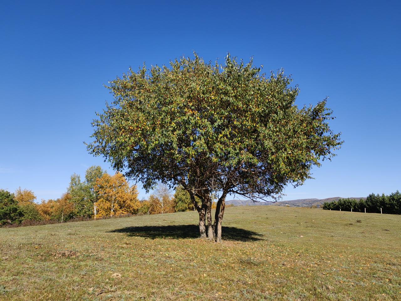 企业文化是渗透在企业运营之中的，不应该是"另外一个体系",如果企业文化成为"另外