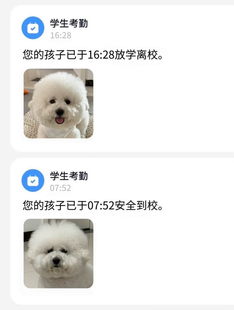 小狗上学放学也是两幅面孔 