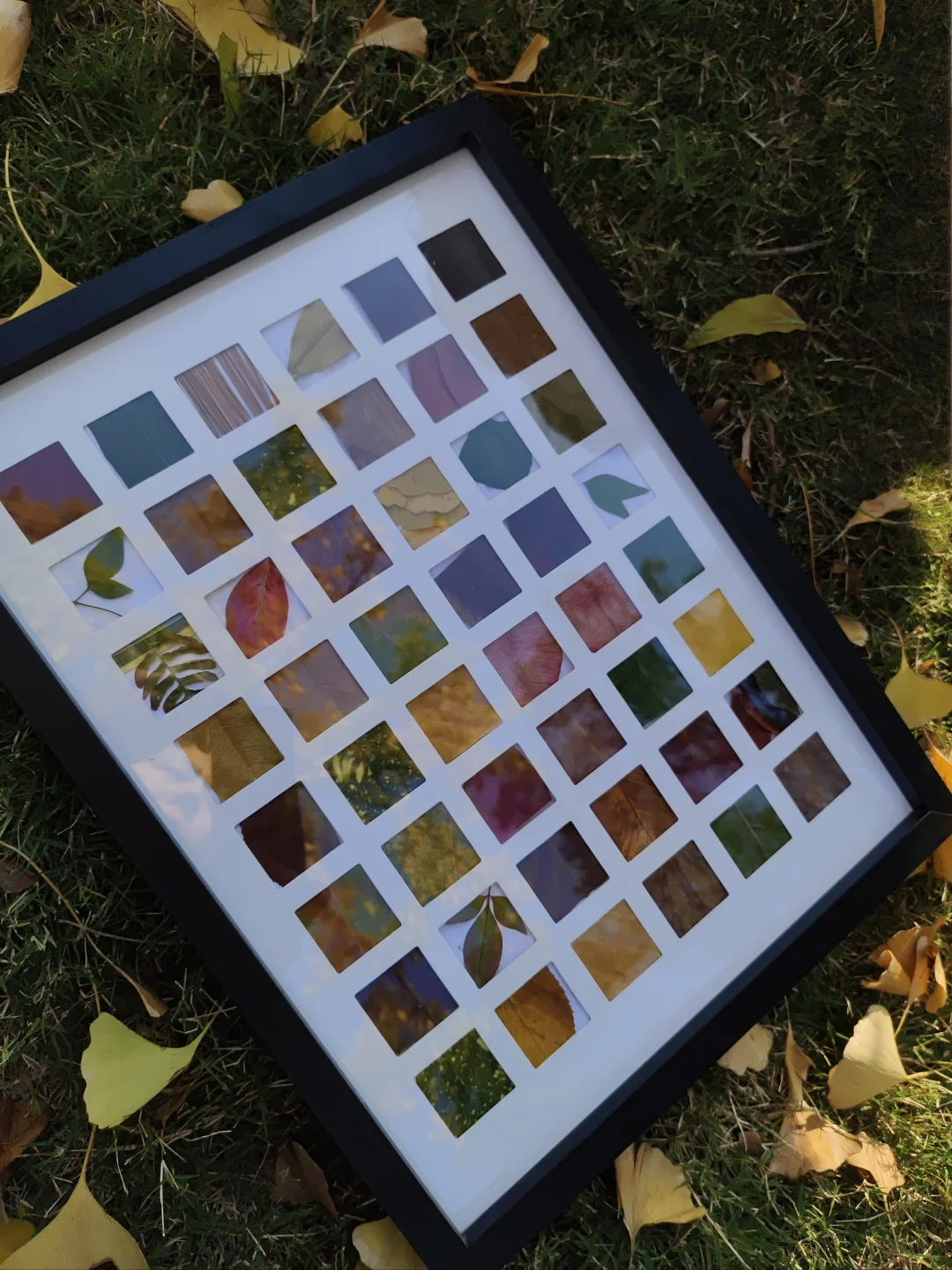 收集秋天的颜色