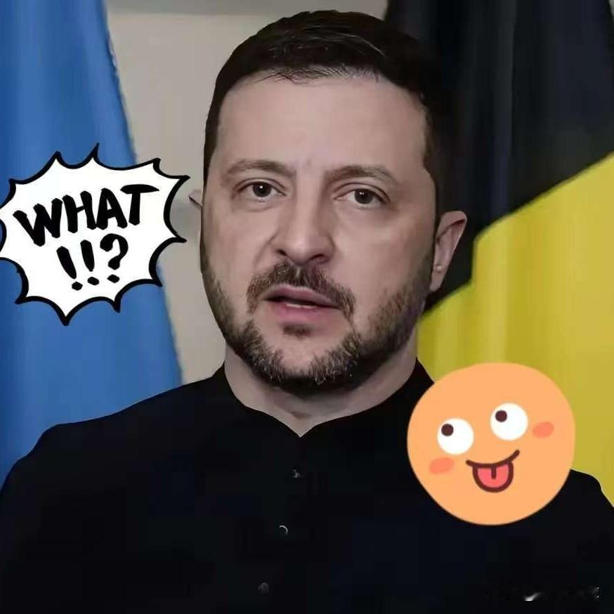 泽连斯基又开始求人了！

10月27日，泽连斯基宣布，乌克兰及其盟友已决定在“未