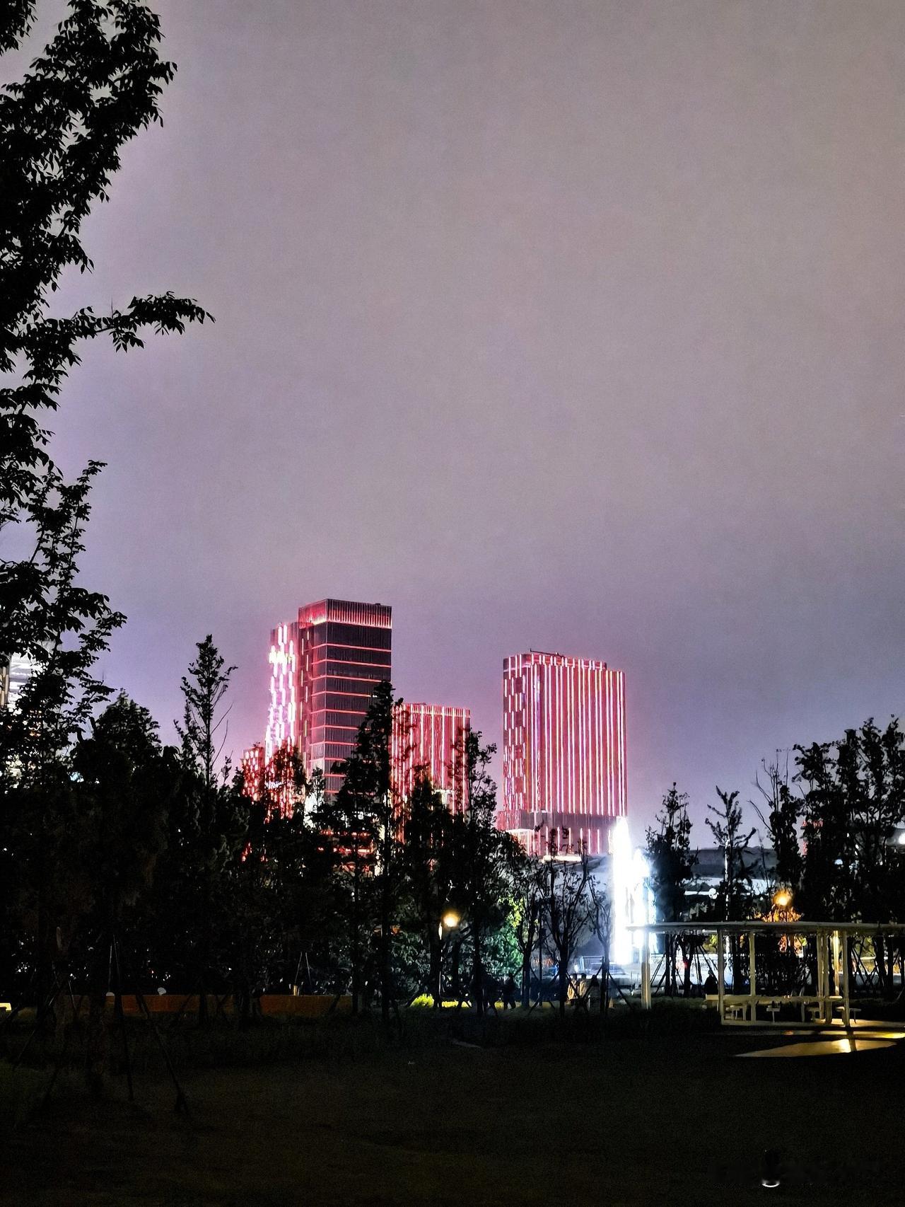 雨后夜景，花草在低处发光，高楼在高处做梦

宁波的雨在傍晚终于停了，出门散步，公