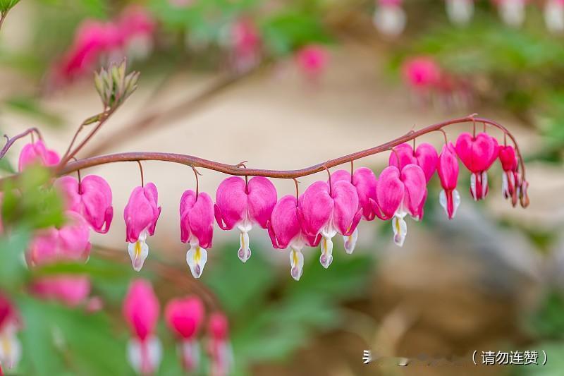 脾气藏着运气，心态定着格局，好性格才是一生的底气。