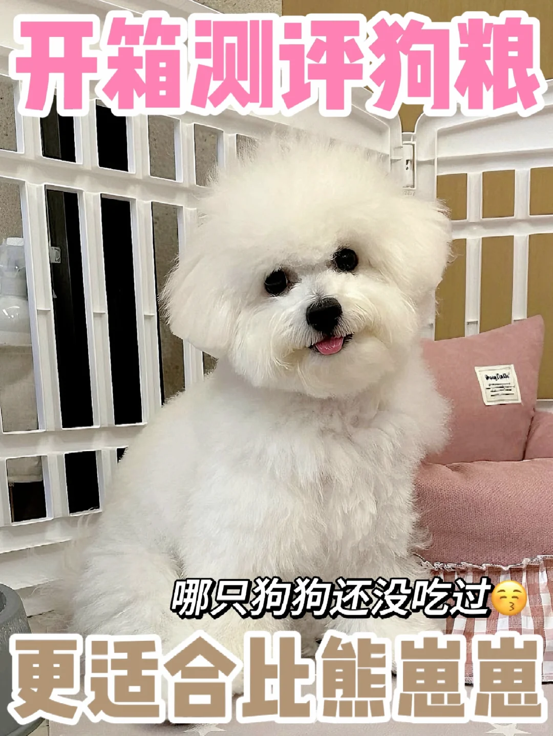 开箱测评比熊犬粮！新手养狗怎么选粮