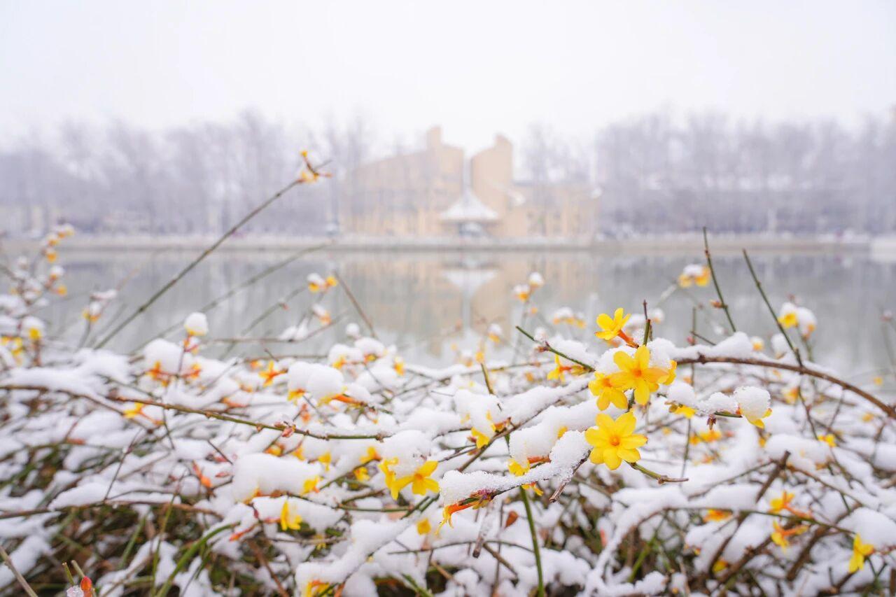 我家女人没有一个不工作的，自己家，公婆家均是如此，快50的我在想，如果我不工作全