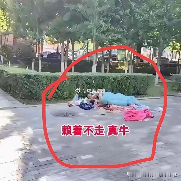 谁能想到，现在还有年轻人露宿公园连一张床都成了奢饰品 
