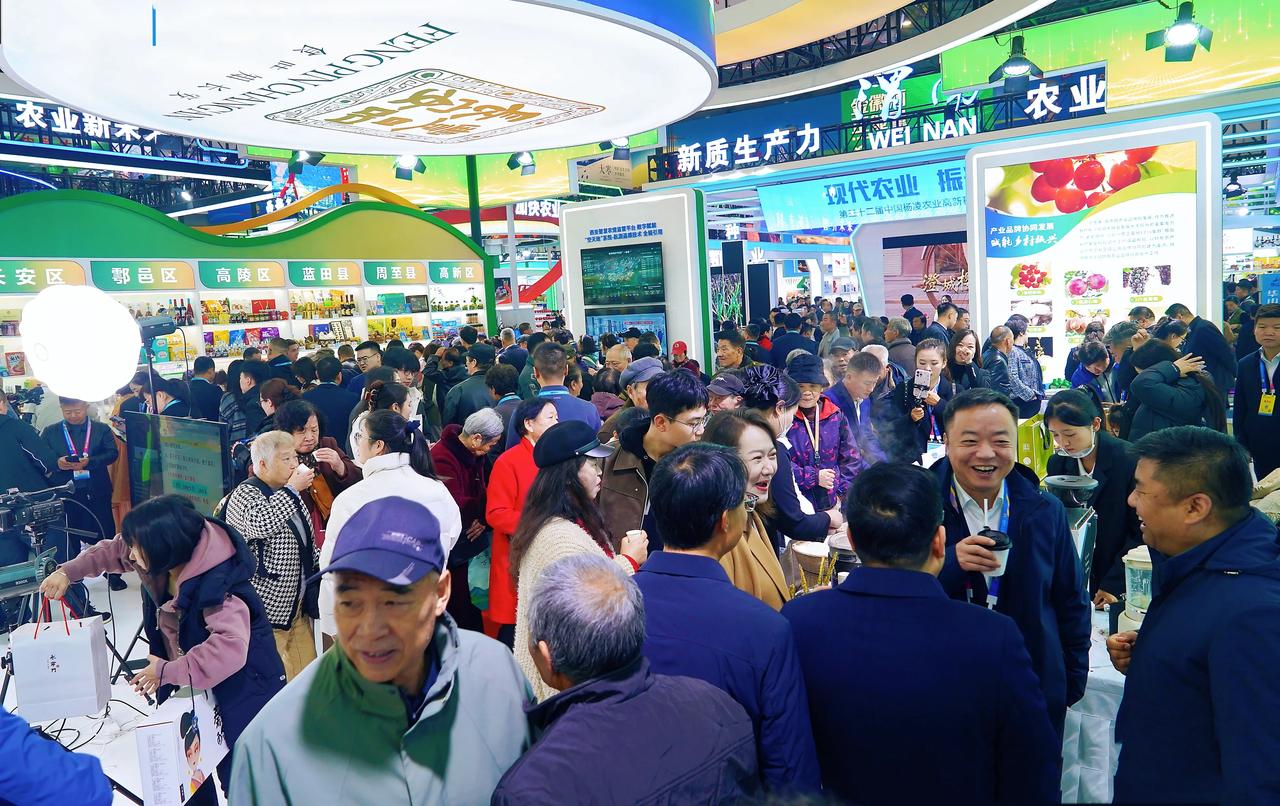 智绘陕西【走进农高会C馆：一馆藏尽三秦农味与科技温度】踏入农高会C馆，陕西特色农