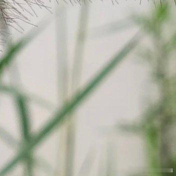 阳光信用🍊 阳光信用 每日‬一善 一个人从小我走向大我，从有限的物质空间走向辽