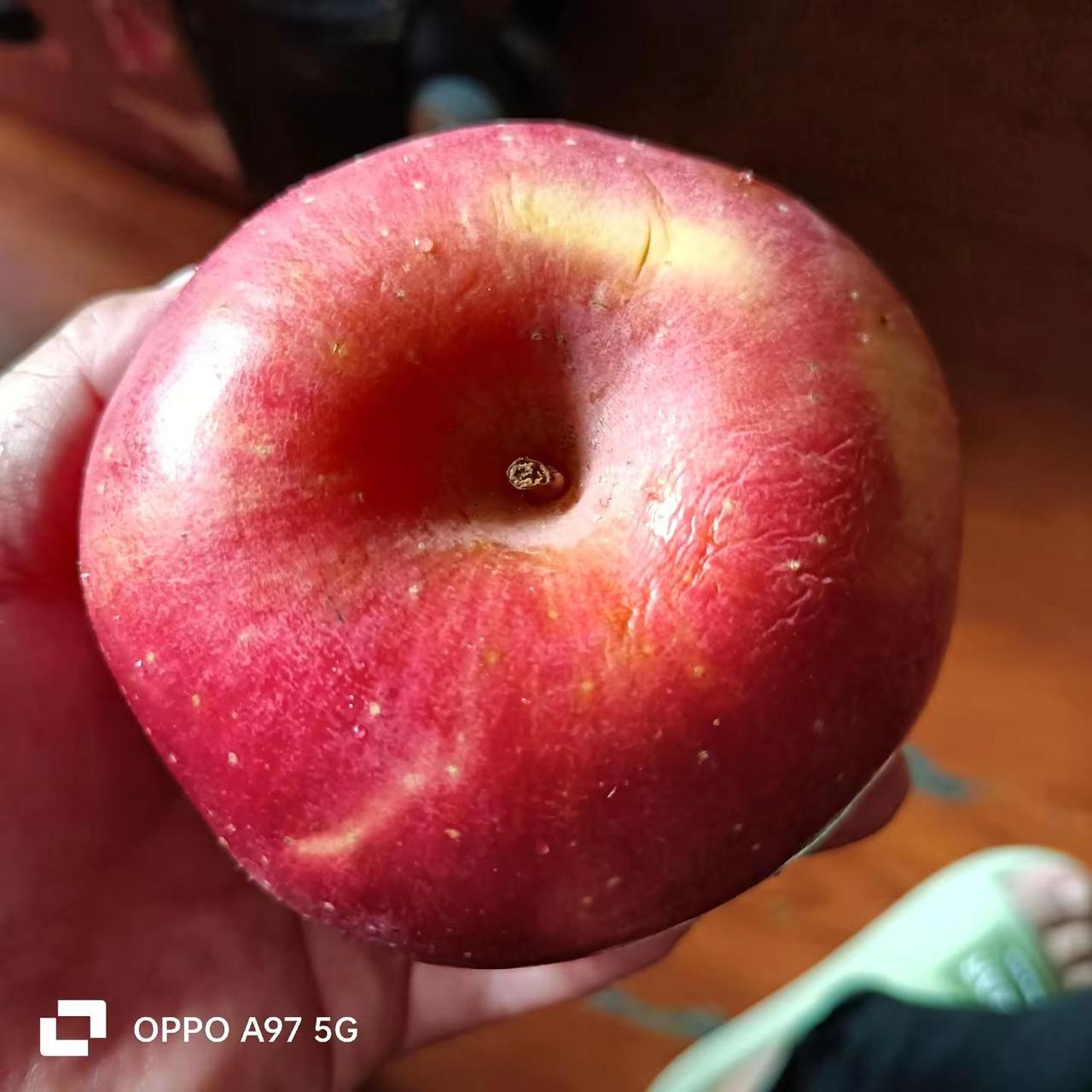 昨天我买了两个苹果花了十元，很甜啊，8.8元一斤，苹果要挑最贵的买，因为我不喜欢