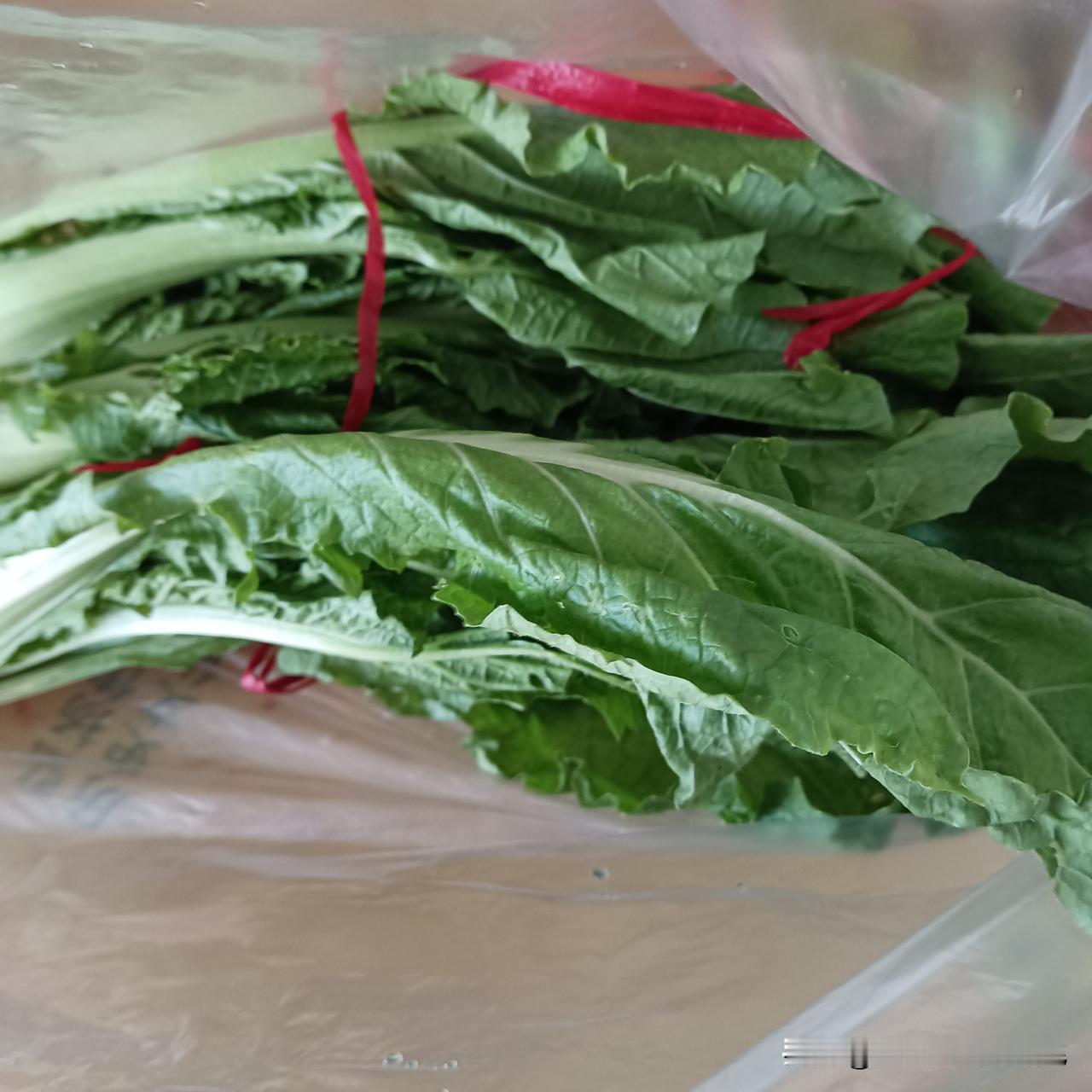 间苗的小白菜上市了，这种小白菜，分量比菜贩子平时卖的足:平时10元的，如今也就两