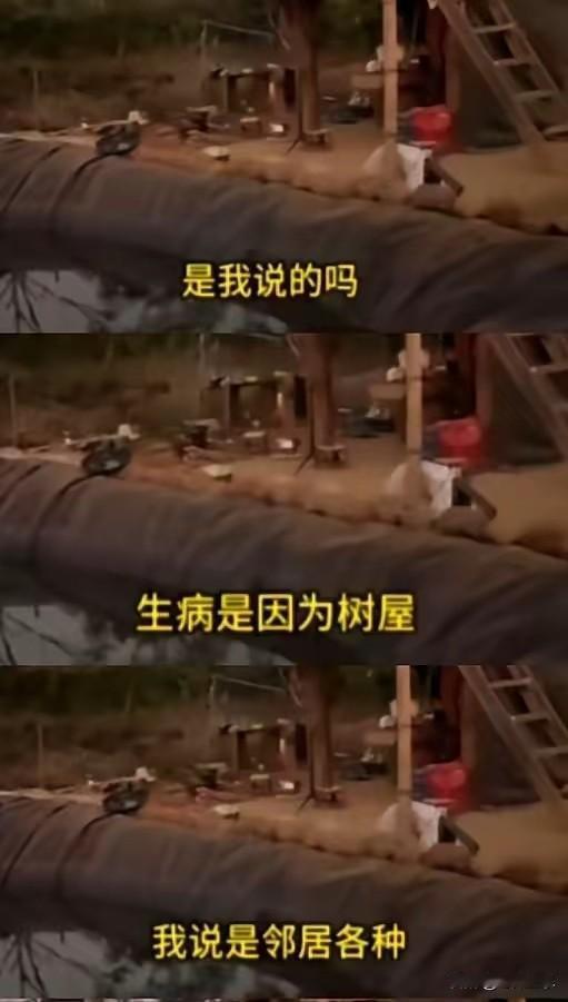 流量人设与带节奏：老挝小依直播争议

分享生活的直播，怎么突然成了舆论引擎？反差