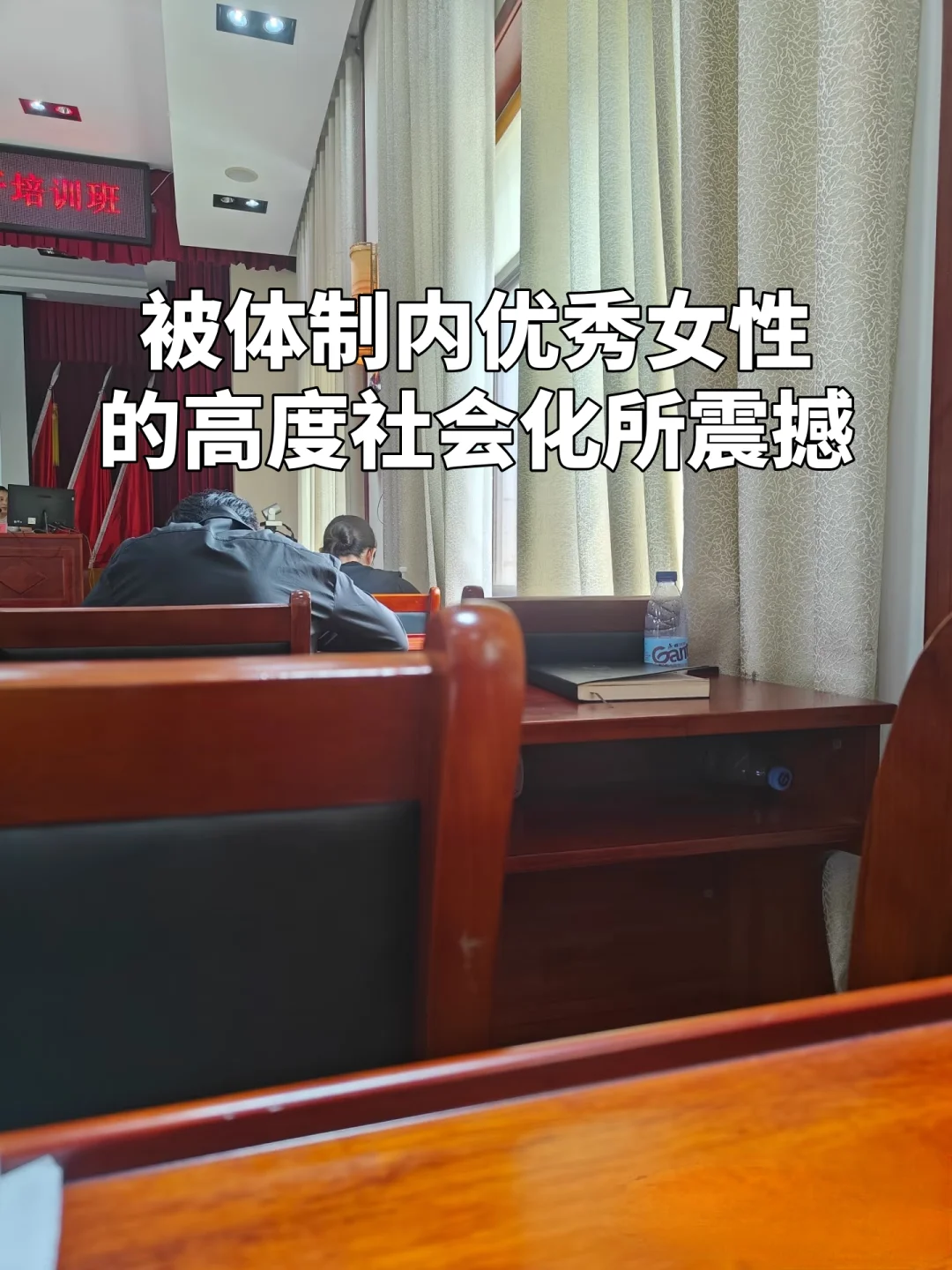 被体制内优秀女性的高度社会化所震撼