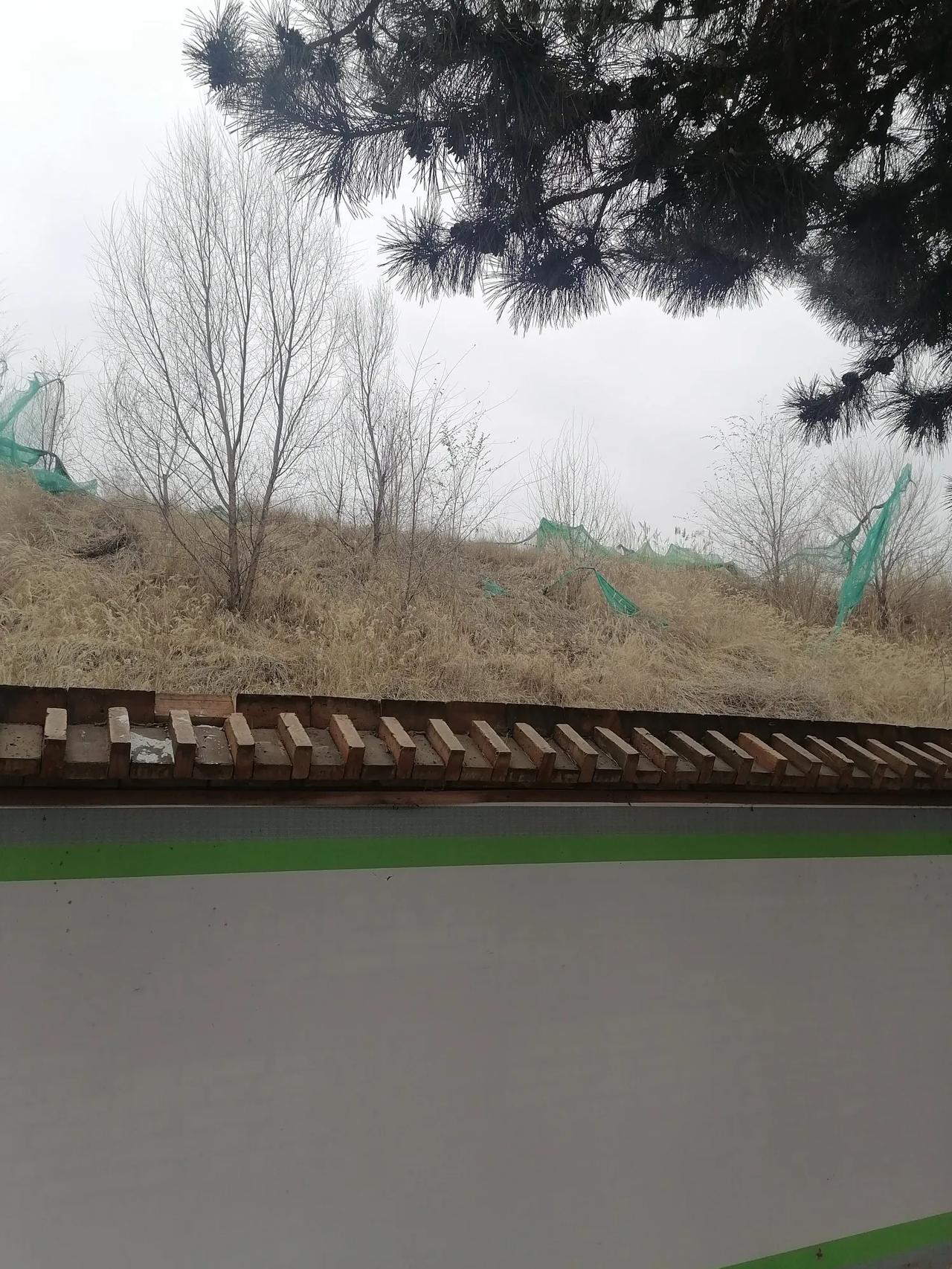 冬草
（诗）
冬天雪飘天气寒，
风卷野草尽颤抖。
叶黄枯萎在幌动，
同盼来年草绿