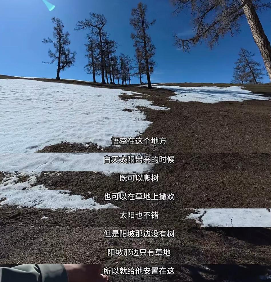 赵朔把悟空送回了阿勒泰。[泪][泪][泪][泪]老天！要不要看看你都干了什么？ 