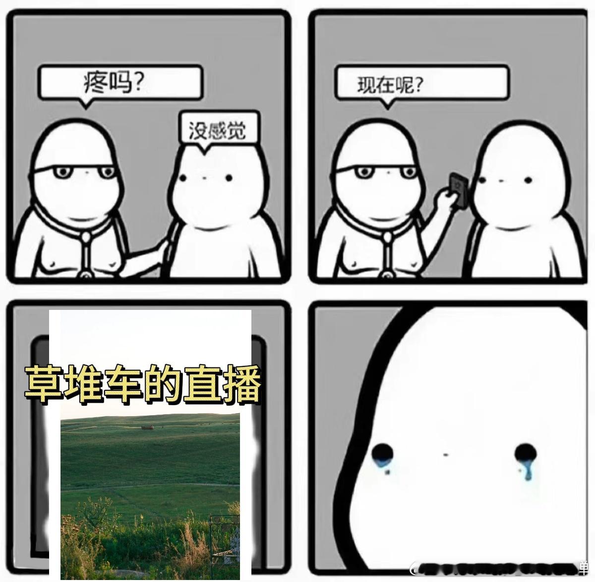 重生之我在直播间当牛马 从夕阳草原到蓝光雪地，直播间里的场景转换令人心醉神迷。 