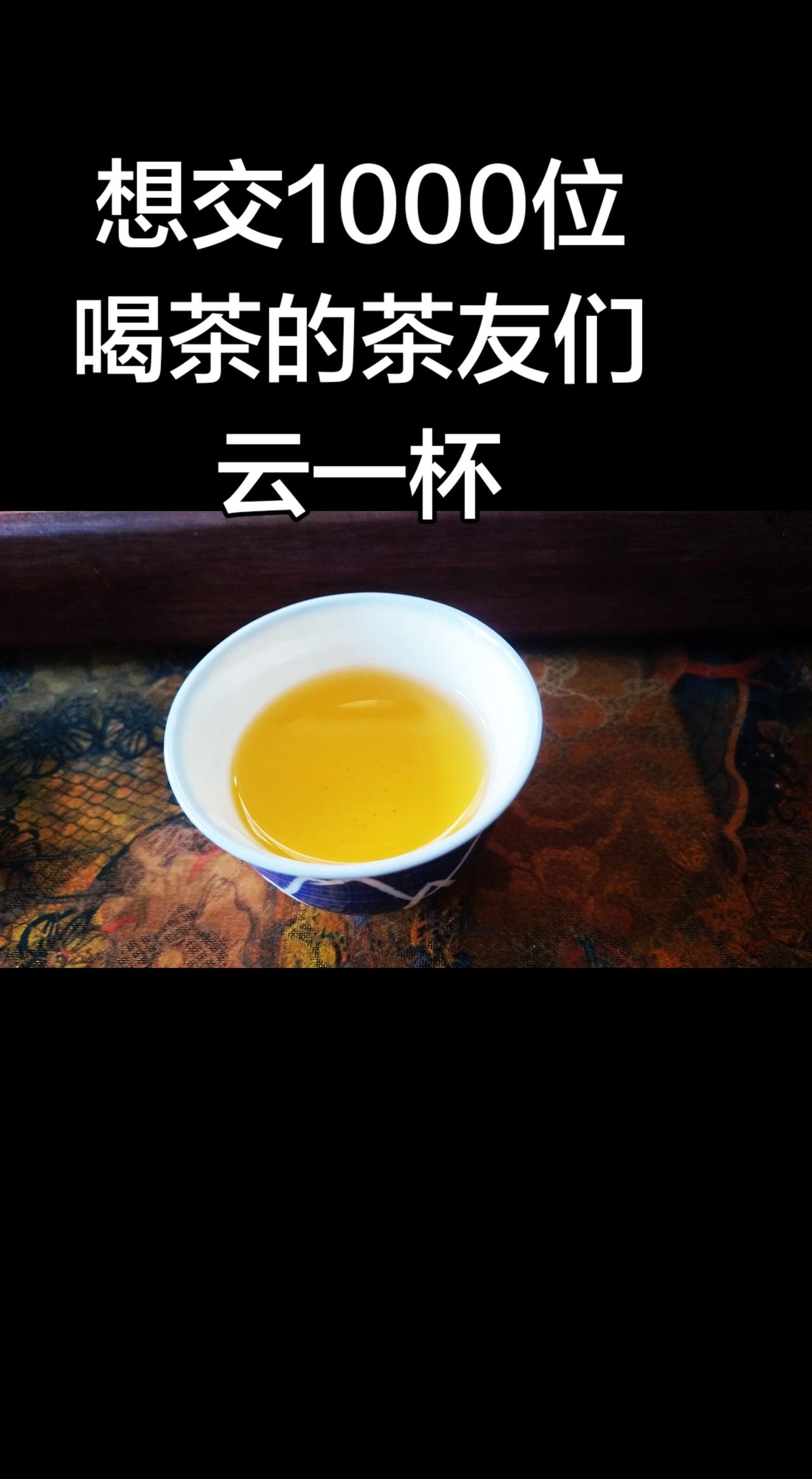 爱茶者的乐趣