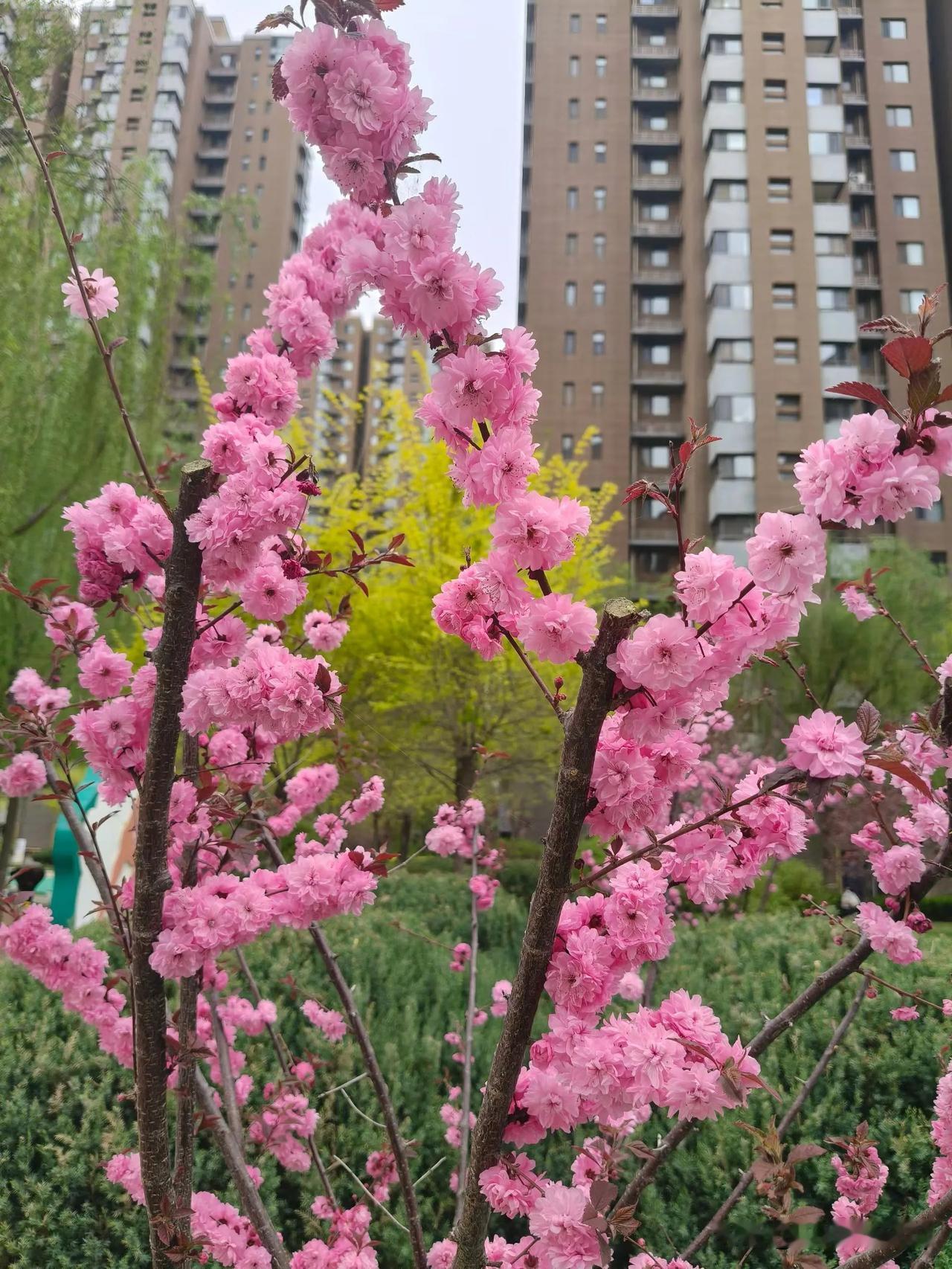 从容处世，笑对人间百般滋味。