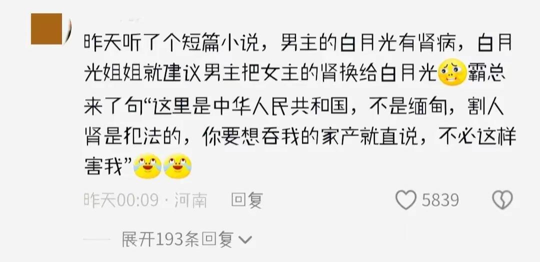 整改的风还是吹到了霸总文学😂 