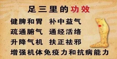 #中医##育儿专家说# 是什么偷走了我们的气血？气血，中医指人体内气和血的统称。