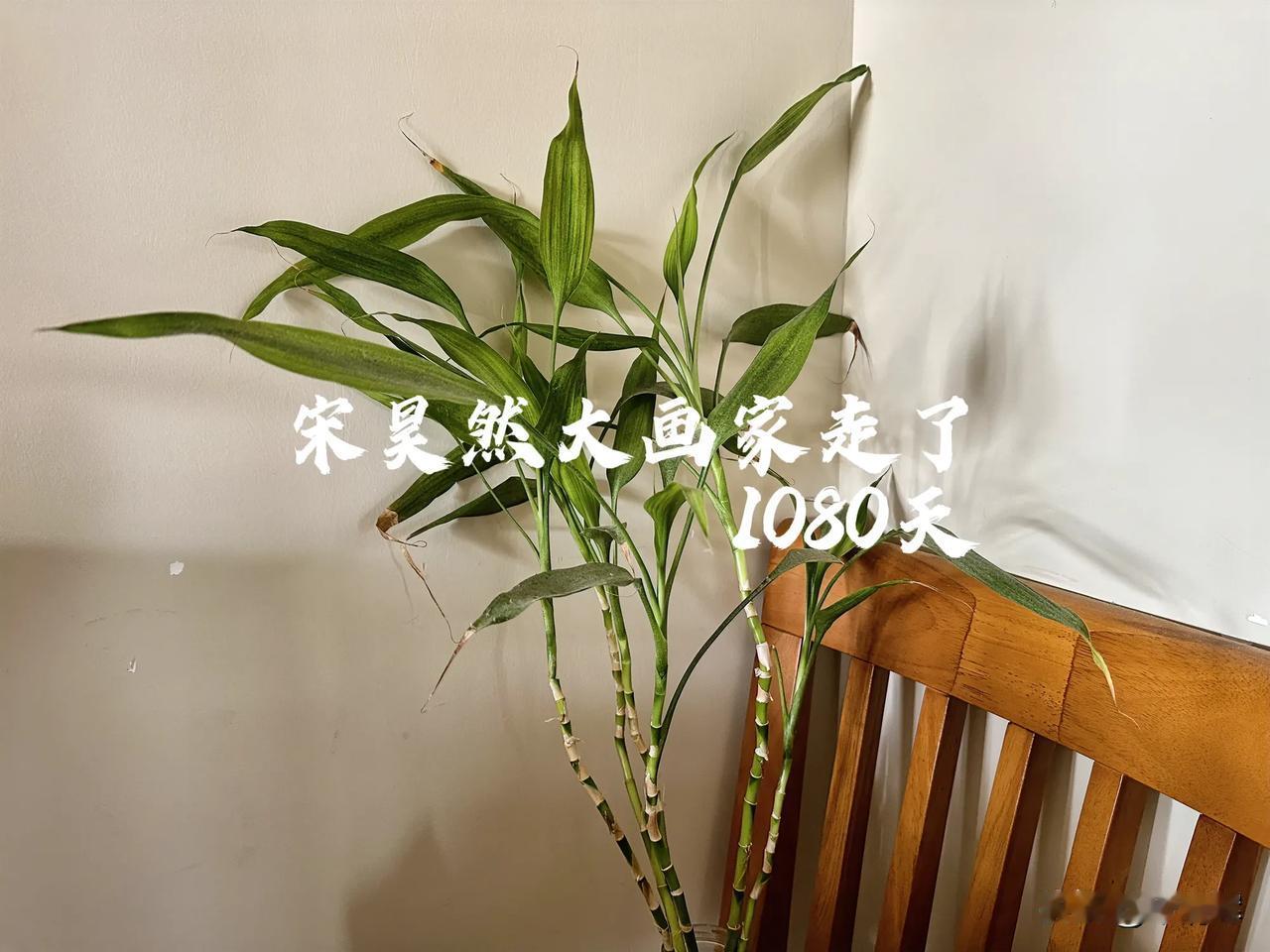 #总在记忆里# （1080）：孩子，早上好。今日天气转凉，早晨已无往日的一丝炎热