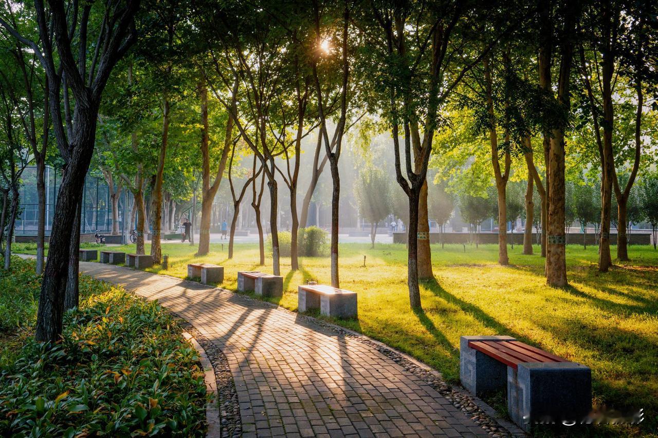 【晨光无限】#随手拍“霞光”# #我的秋日摄影# #晨拍身边景#