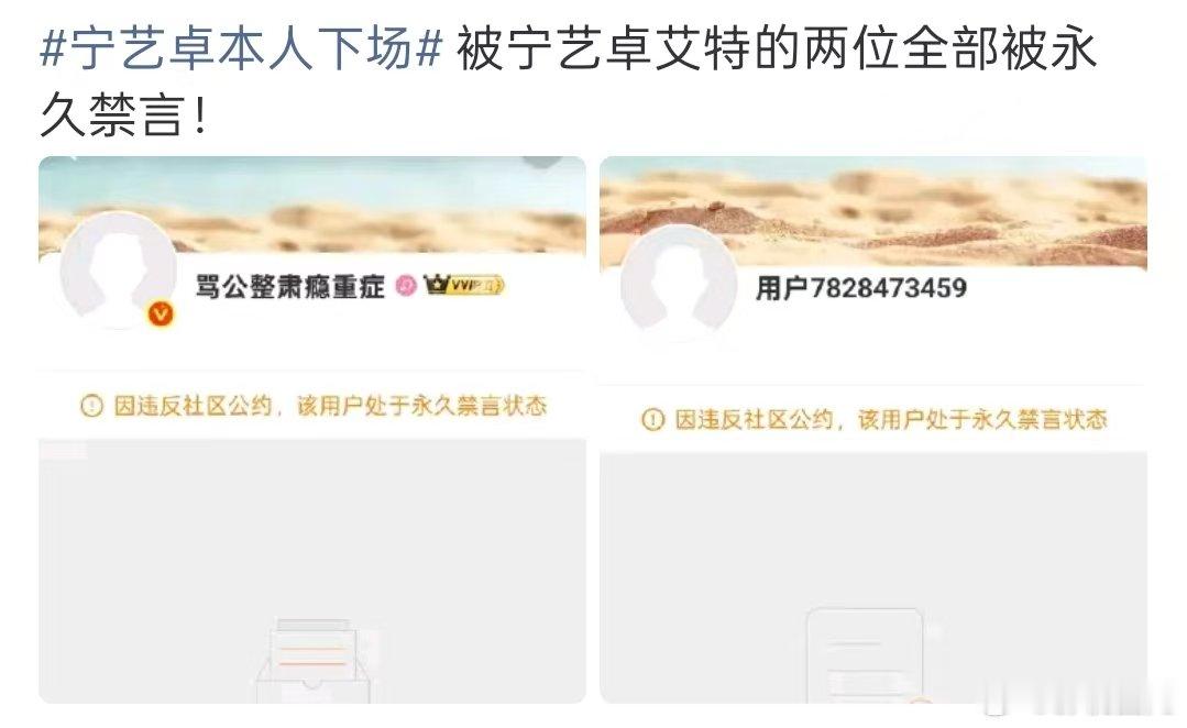 宁艺卓的黑粉被永久禁言宁艺卓艾特的黑粉被永久禁言 宁艺卓本人下场 被宁艺卓艾特的