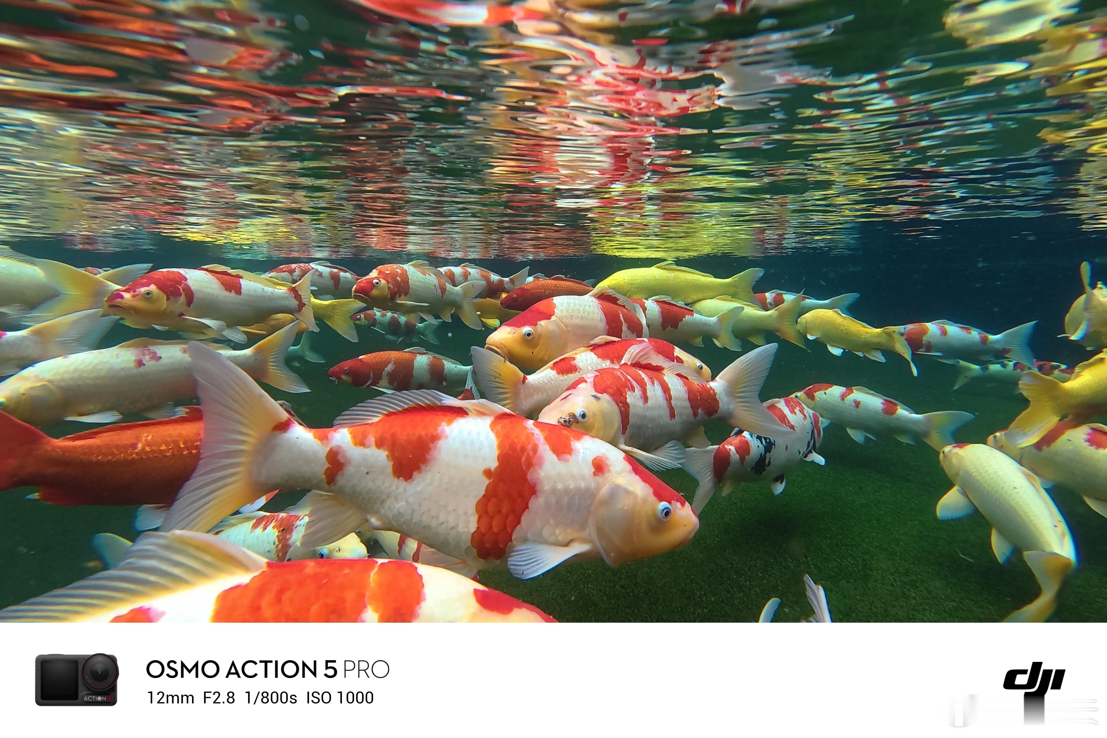 会的都对，不会的也猜对。考研报名今天截止 ​​​