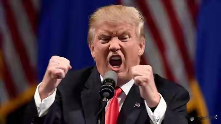 想让美国“苏联式解体”，核心是复制其崩溃的核心公式：一个多民族联邦的向心力被彻底