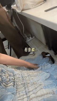 伊能静57岁正是勇闯春晚的年纪苏有朋伊能静33年没变化苏有朋伊能静33年没变化的