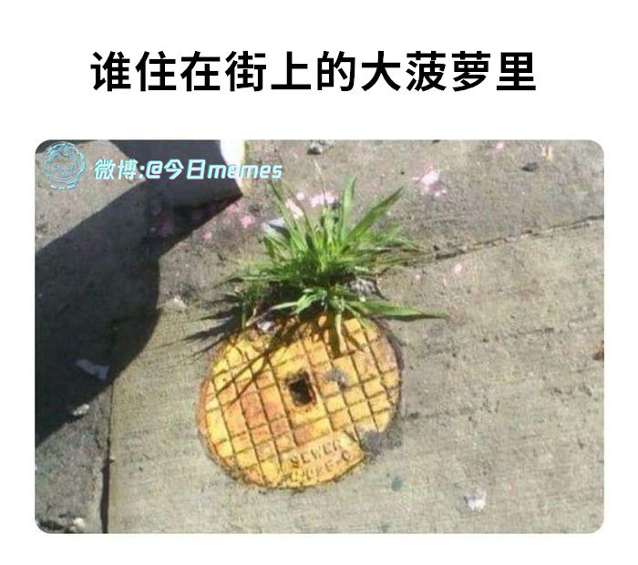 忍者神龟（9gag） 今日meme[超话]  