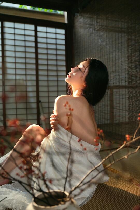我本无意入江南