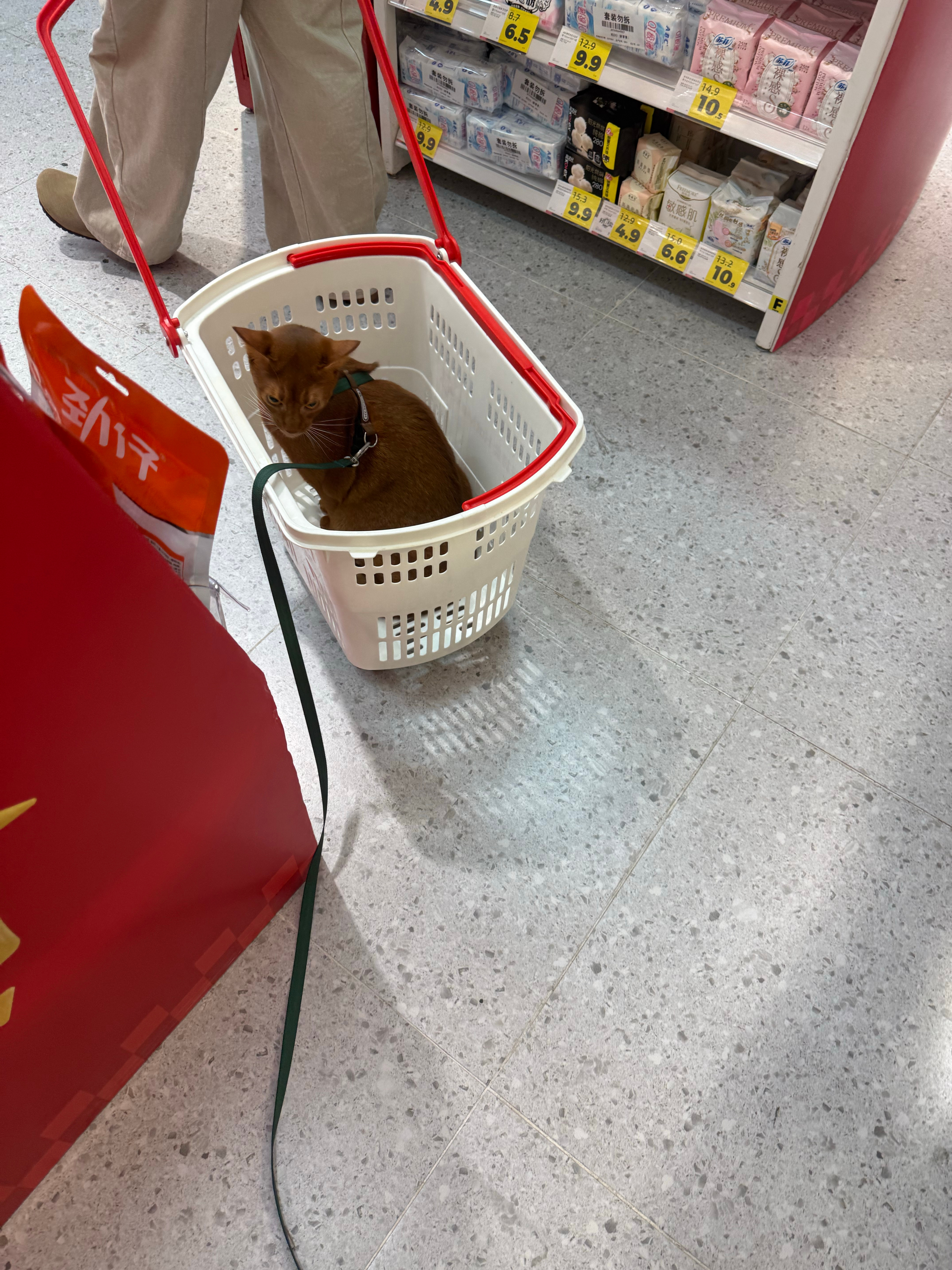 喝Luke桂花牛奶 品Flora人生 ​​​