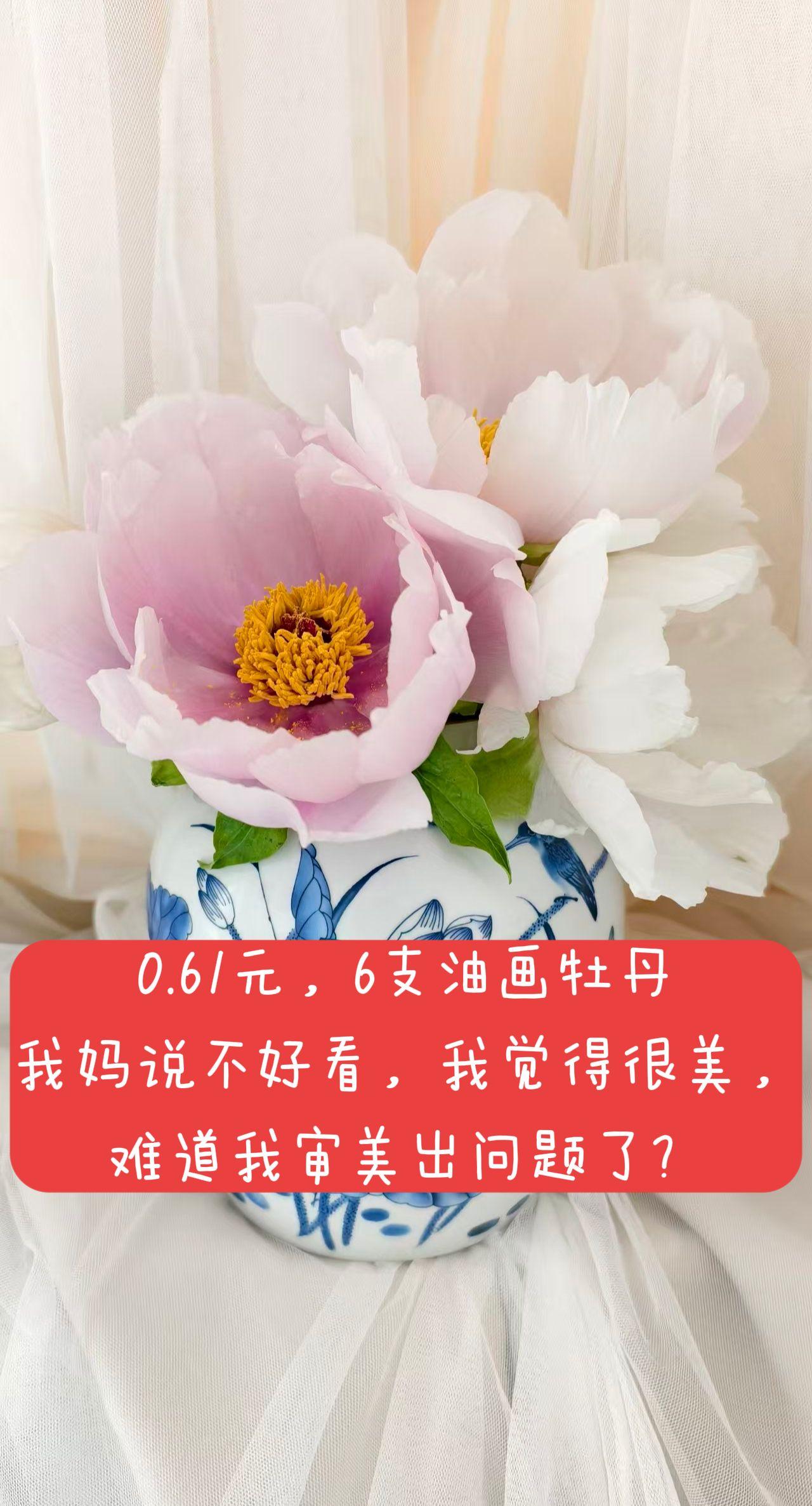 0.61元，5支油画牡丹 ，老板又送了一支，6支，额外又送了一包营养液，这么便宜